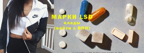 крисы Осинники