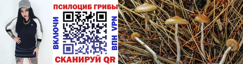 Псилоцибиновые грибы GOLDEN TEACHER Приволжский